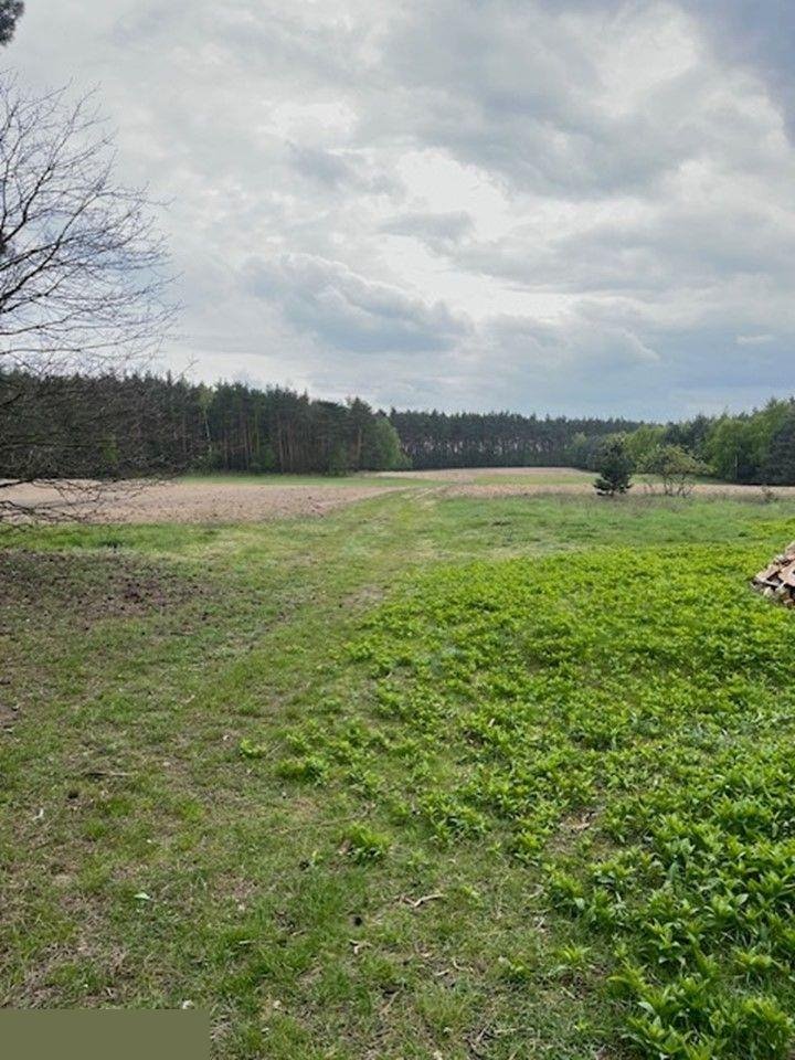 Działka rolna na sprzedaż Wierzbinek  103 000m2 Foto 4