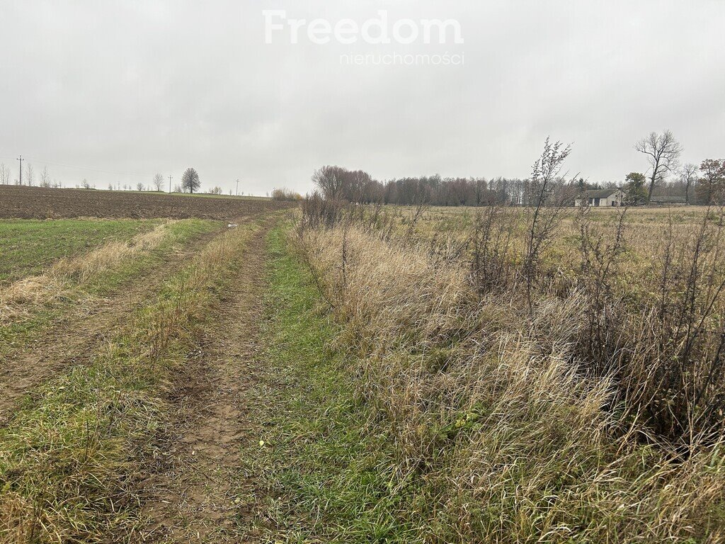 Działka inna na sprzedaż Karbowskie  3 037m2 Foto 4