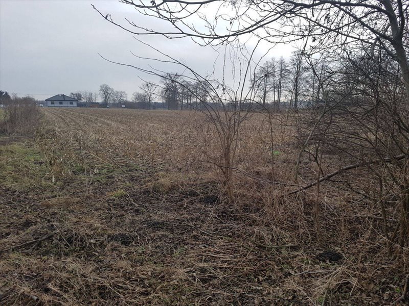 Działka budowlana na sprzedaż Otusz, Otusz 2 375m2 Foto 1 Działka budowlana na sprzedaż Otusz, Otusz 2 375m2 Foto 1
