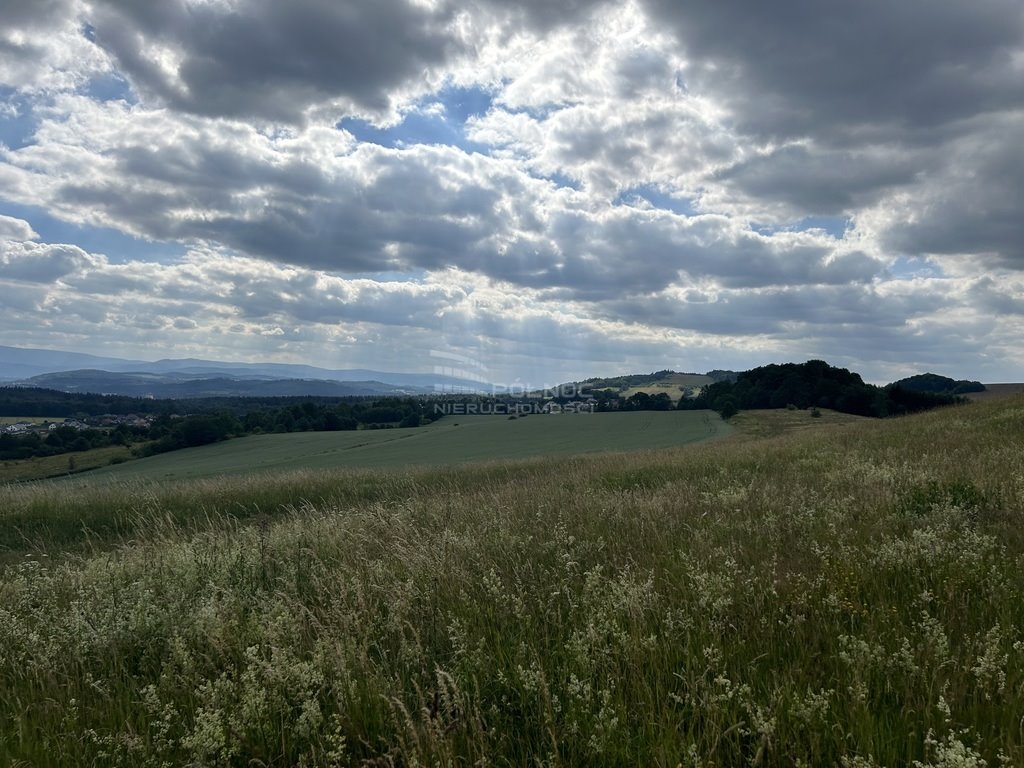 Lokal użytkowy na sprzedaż Dziwiszów  1 200m2 Foto 13