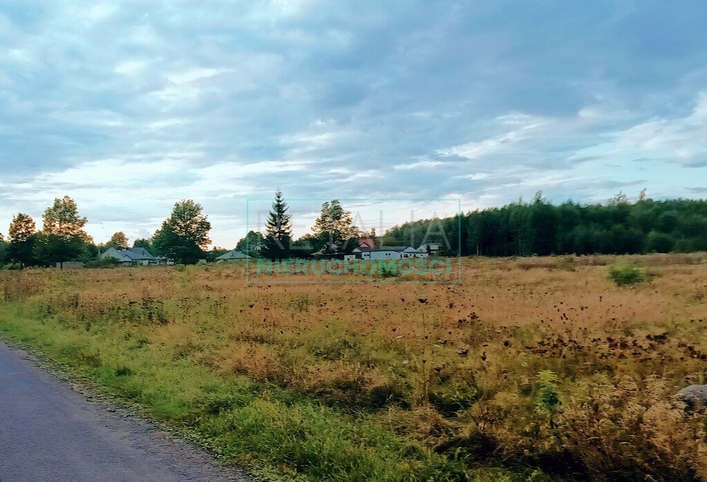 Duża działka z mediami, podział i rekreacja w Władkowie Władków  4 100m2 Foto 1