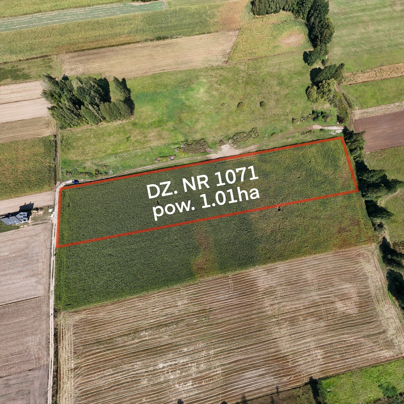 Działka 1ha pod zabudowę z dużą przestrzenią i zielenią Rębków, Polna  10 105m2 Foto 1