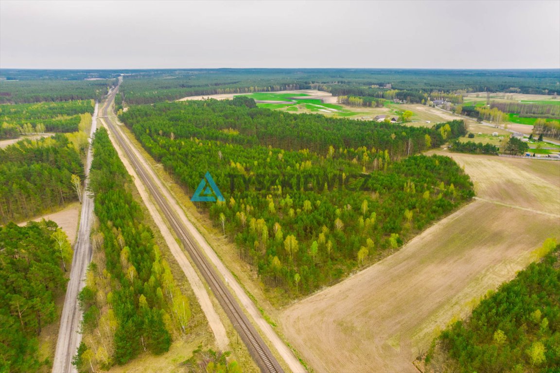 Działka leśna na sprzedaż Klaskawa  26 797m2 Foto 3