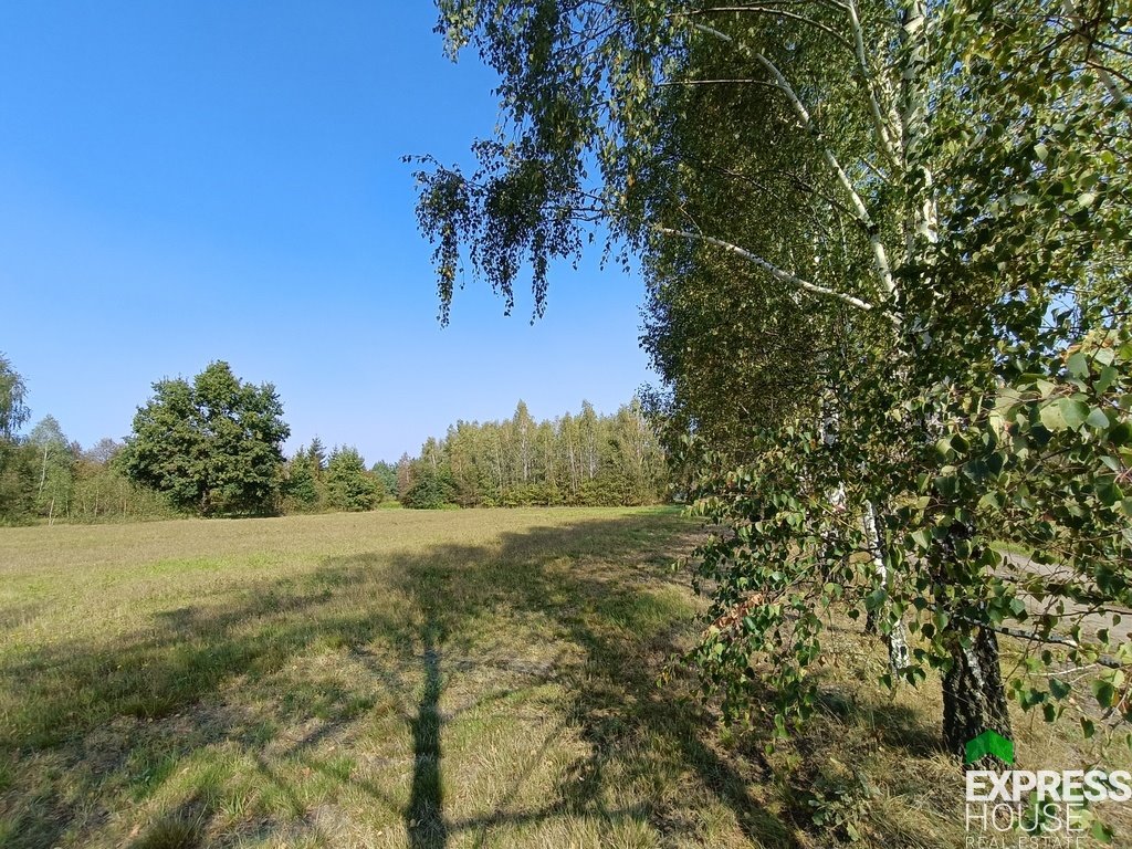 Działka budowlana na sprzedaż Celinów, Polnych Kwiatów  5 148m2 Foto 5