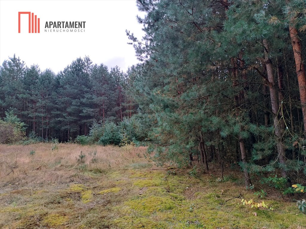 Działka rekreacyjna na sprzedaż Sulnówko  7 380m2 Foto 15