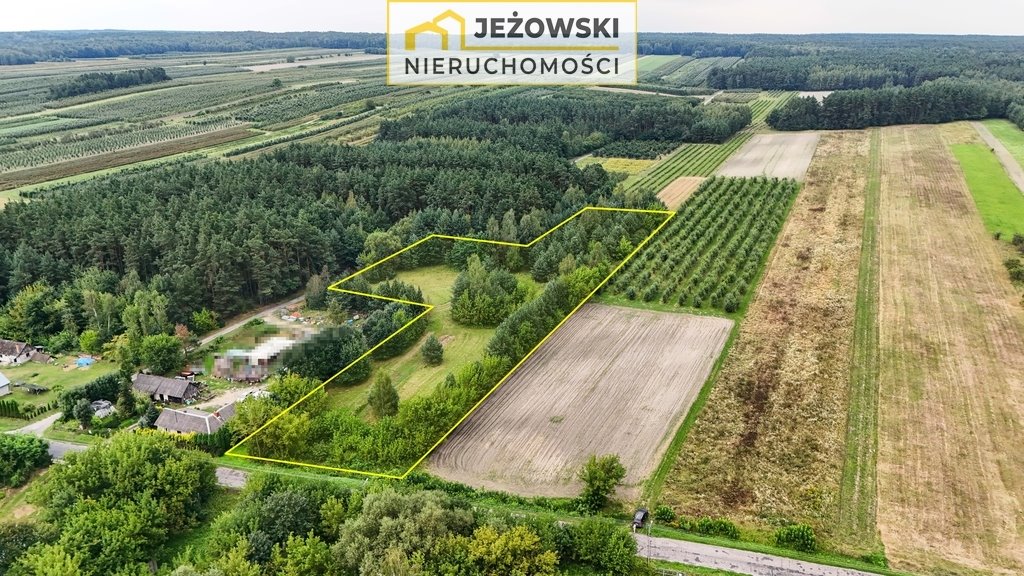 Działka budowlana na sprzedaż Mazanów  11 027m2 Foto 6