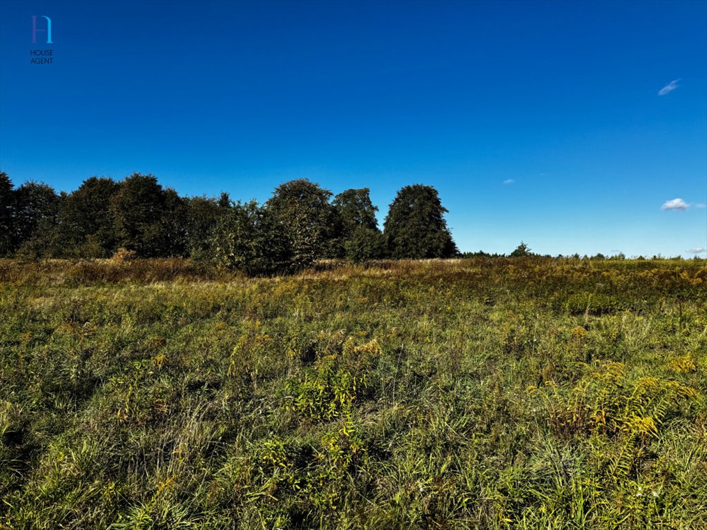 Działka rolna na sprzedaż Janów  2 997m2 Foto 7