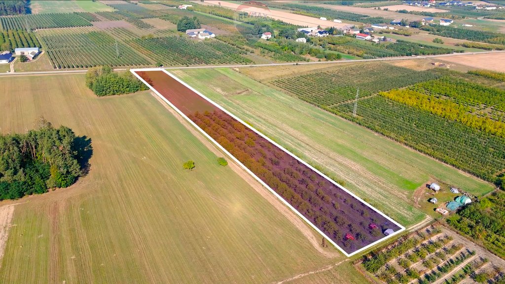 Działka rolna na sprzedaż Suchodół  11 600m2 Foto 1