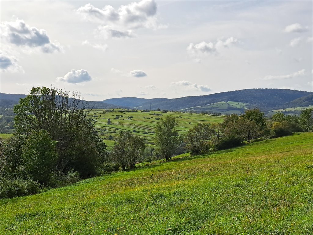 Działka rolna na sprzedaż Posada Jaśliska  9 900m2 Foto 1