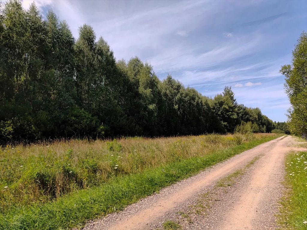 Działka 1500 m² z lasem i widokami w Borkowicach Borkowice  1 500m2 Foto 1