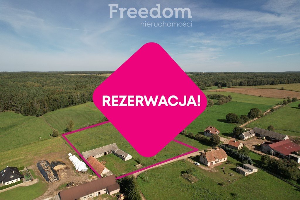 Działka rolna na sprzedaż Cwaliny  10 234m2 Foto 1