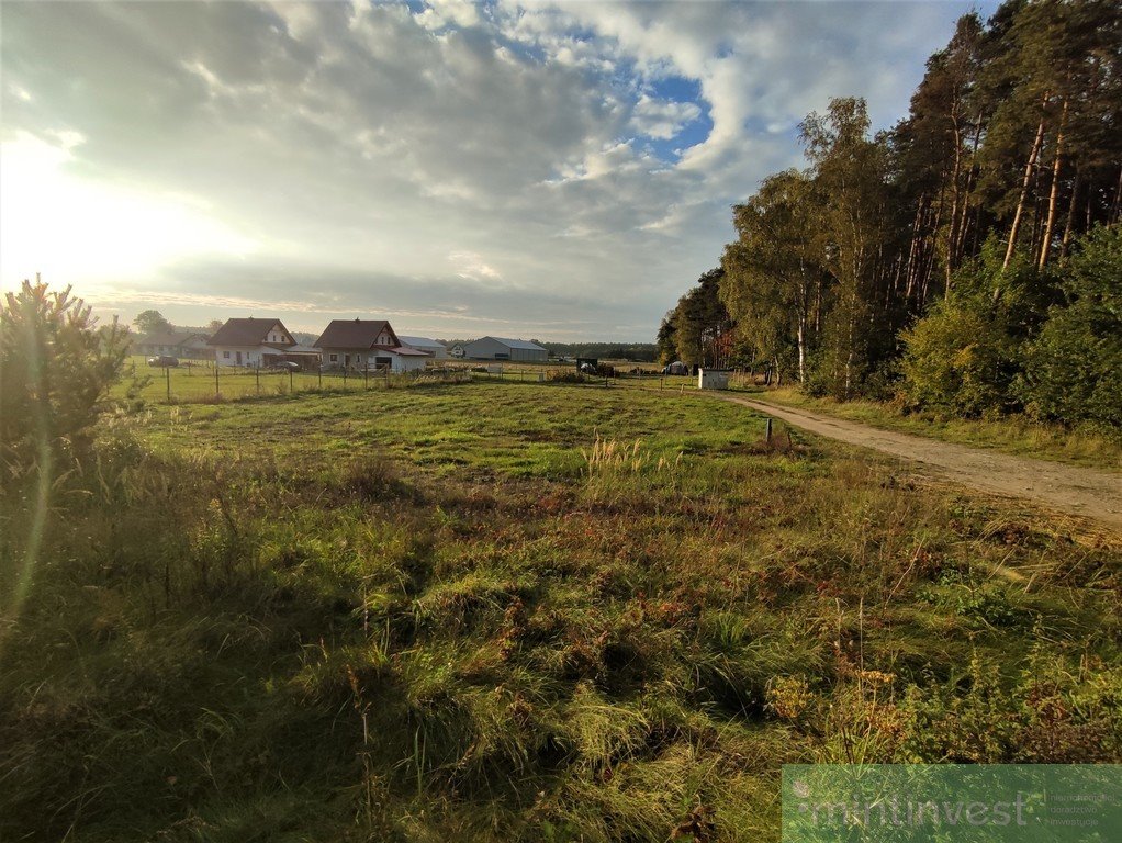 Działka budowlana na sprzedaż Podańsko  1 059m2 Foto 3