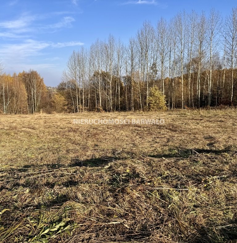 Działka rolna na sprzedaż Zakrzów  6 296m2 Foto 2