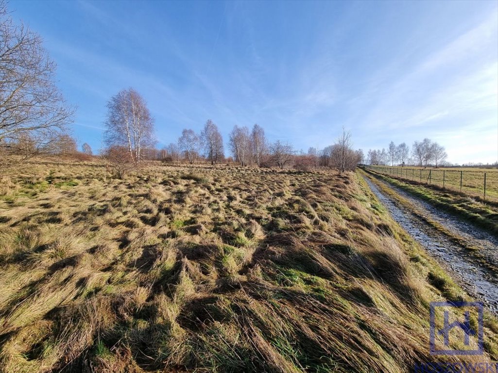 Działka budowlana na sprzedaż Świecie, Świecie  2 450m2 Foto 15