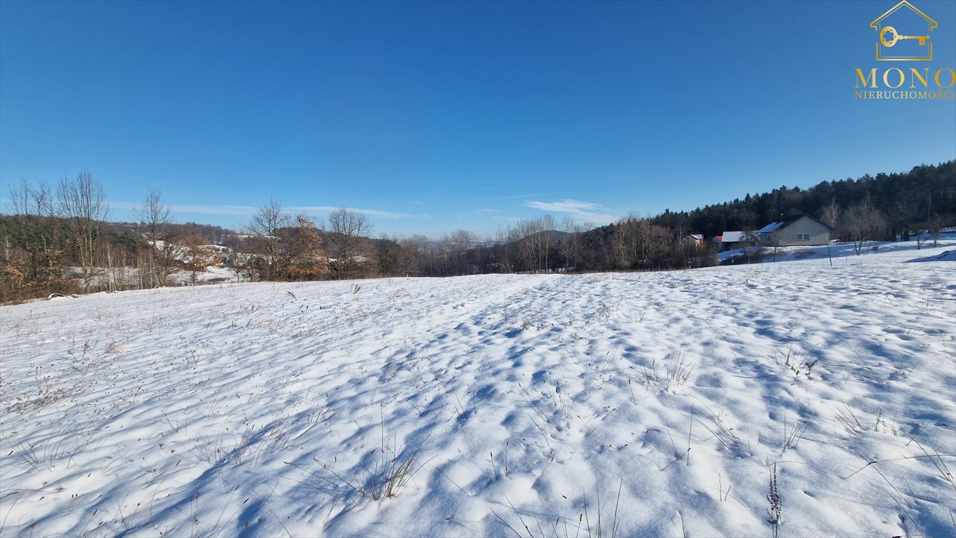 Działka budowlana na sprzedaż Krasne Potockie  4 200m2 Foto 8