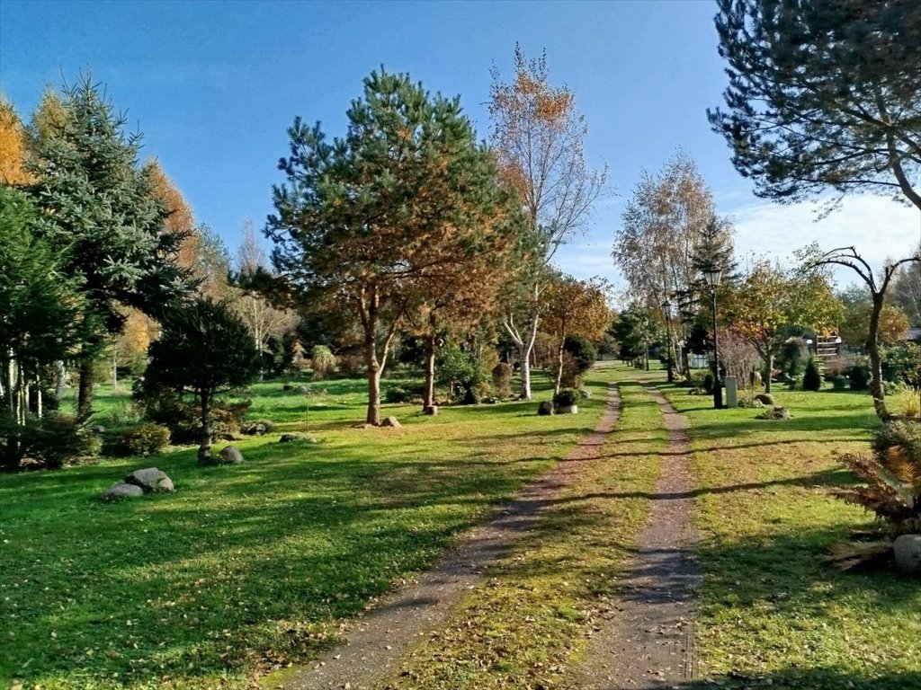 Działka siedliskowa na sprzedaż Strzeżewo  17 000m2 Foto 3