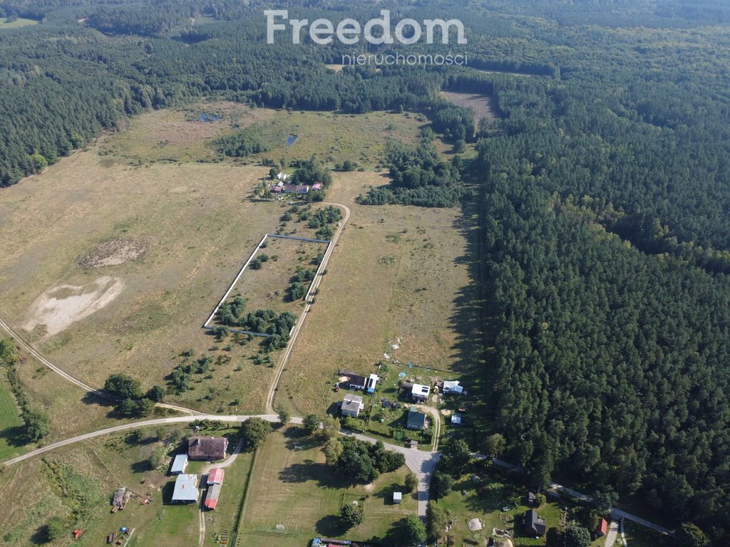 Działka rolna na sprzedaż Lękwica  7 006m2 Foto 5