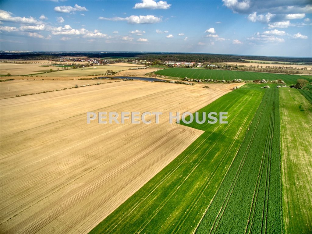 Działka budowlana na sprzedaż Walerianowo  1 000m2 Foto 7