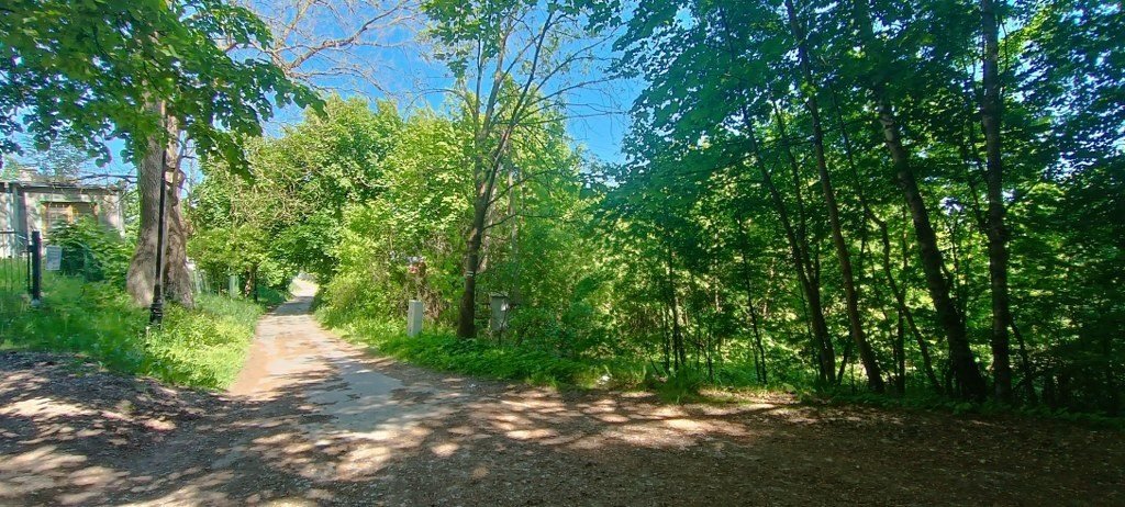 Działka budowlana na sprzedaż Chęciny  900m2 Foto 13