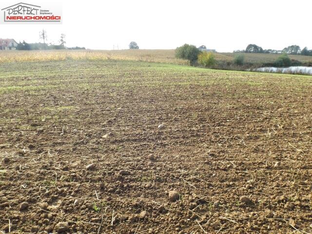 Działka budowlana na sprzedaż Moczadła  1 571m2 Foto 1