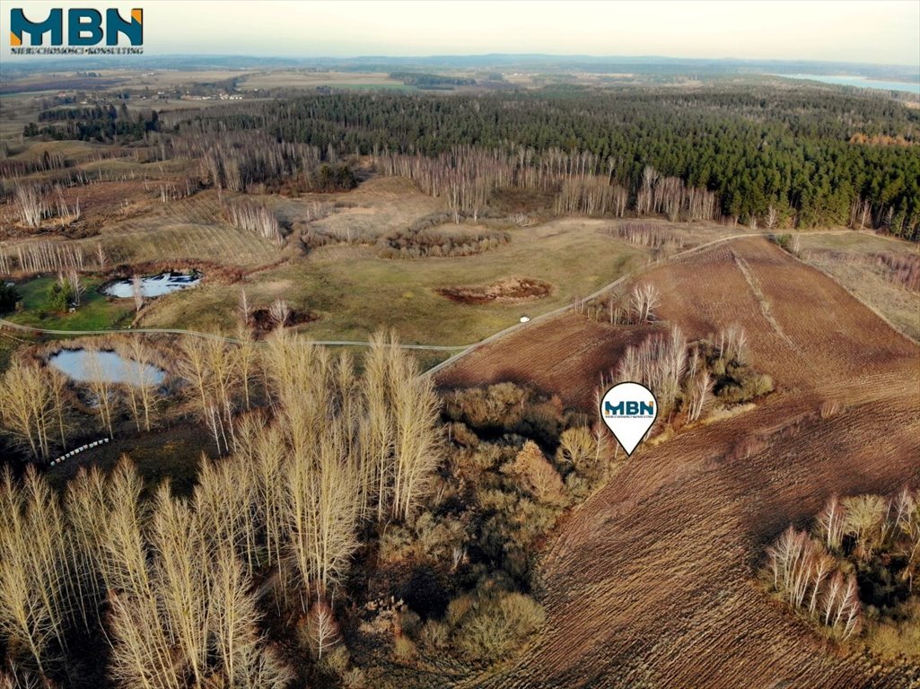 Działka budowlana na sprzedaż Wyłudy, Wyłudy  38 864m2 Foto 7