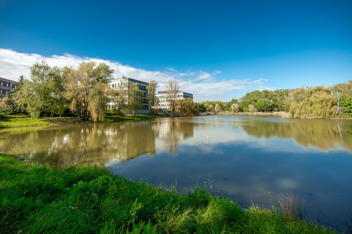 Lokal użytkowy na wynajem Wrocław, Krzyki, Borek, Racławicka  234m2 Foto 1