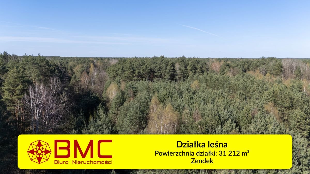 Polecam leśną działkę 31 212 m² z potencjałem inwestycyjnym Zendek  31 212m2 Foto 1