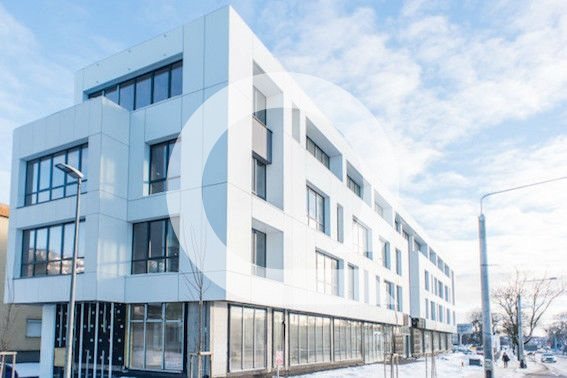 Lokal użytkowy na wynajem Gdynia, Orłowo 210m2 Foto 1 Lokal użytkowy na wynajem Gdynia, Orłowo 210m2 Foto 1