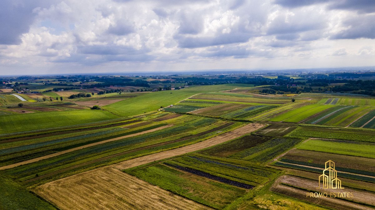 Działka gospodarstwo rolne na sprzedaż Czulice  6 900m2 Foto 5