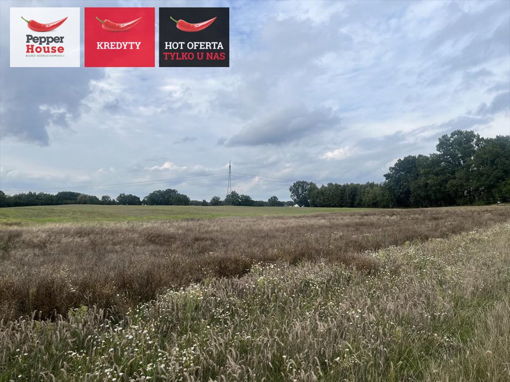 Działka gospodarstwo rolne na sprzedaż Elbląg  3 023m2 Foto 1