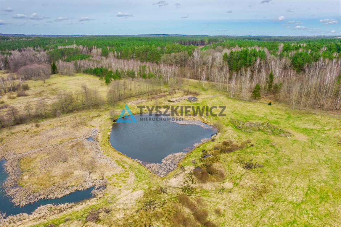 Działka rolna na sprzedaż Zielin  59 900m2 Foto 3