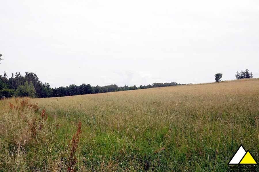 Działka budowlana na sprzedaż Brzeziniec  1 500m2 Foto 9