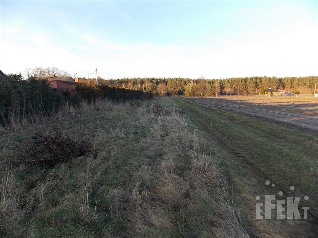 Działka rolna na sprzedaż Lisowola  10 900m2 Foto 5