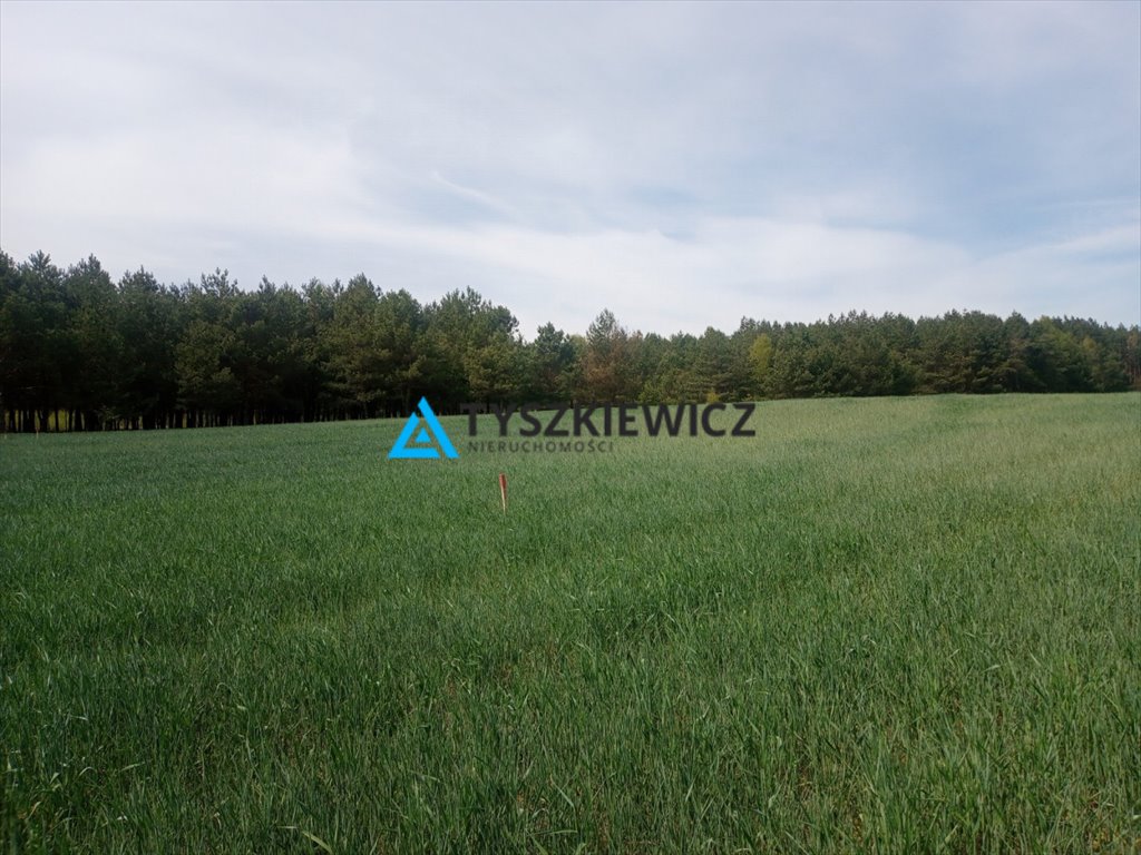 Działki budowlane w Dąbrowie, 1033 m2, media, spokojna okolica Dąbrowa  1 033m2 Foto 1