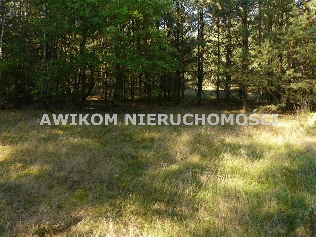 Działka leśna na sprzedaż Przewodowice  16 623m2 Foto 8