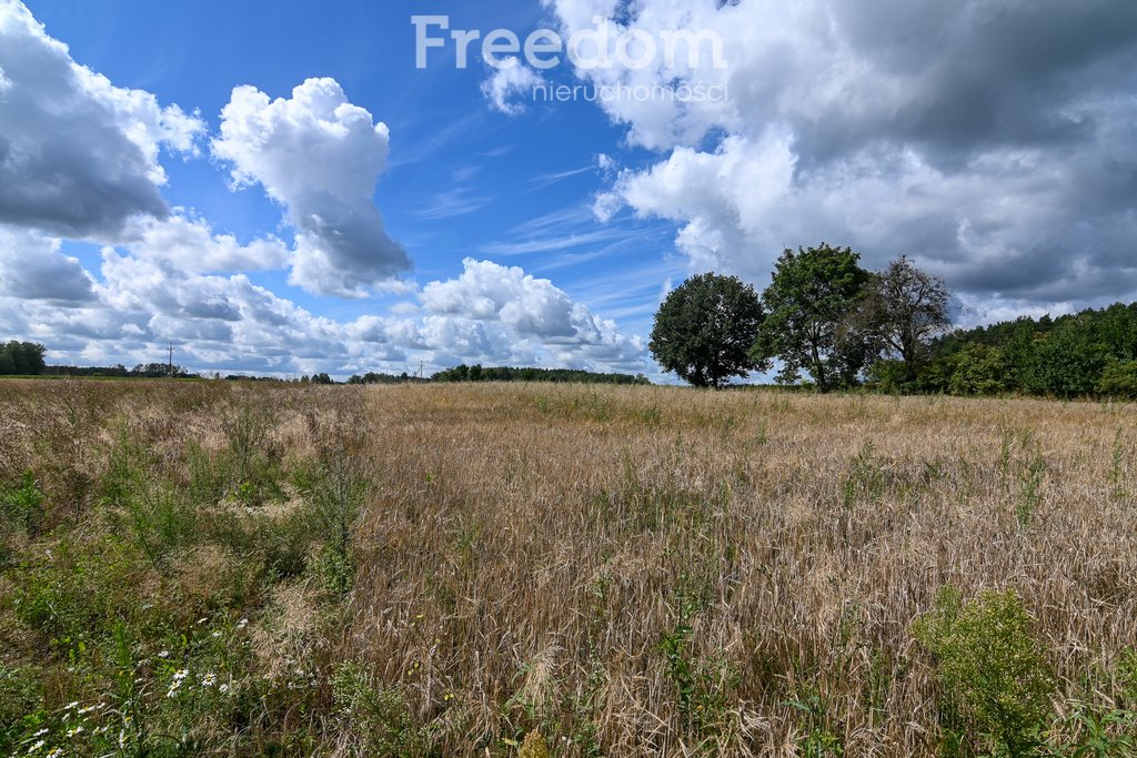 Działka budowlana na sprzedaż Brodna  2 119m2 Foto 2