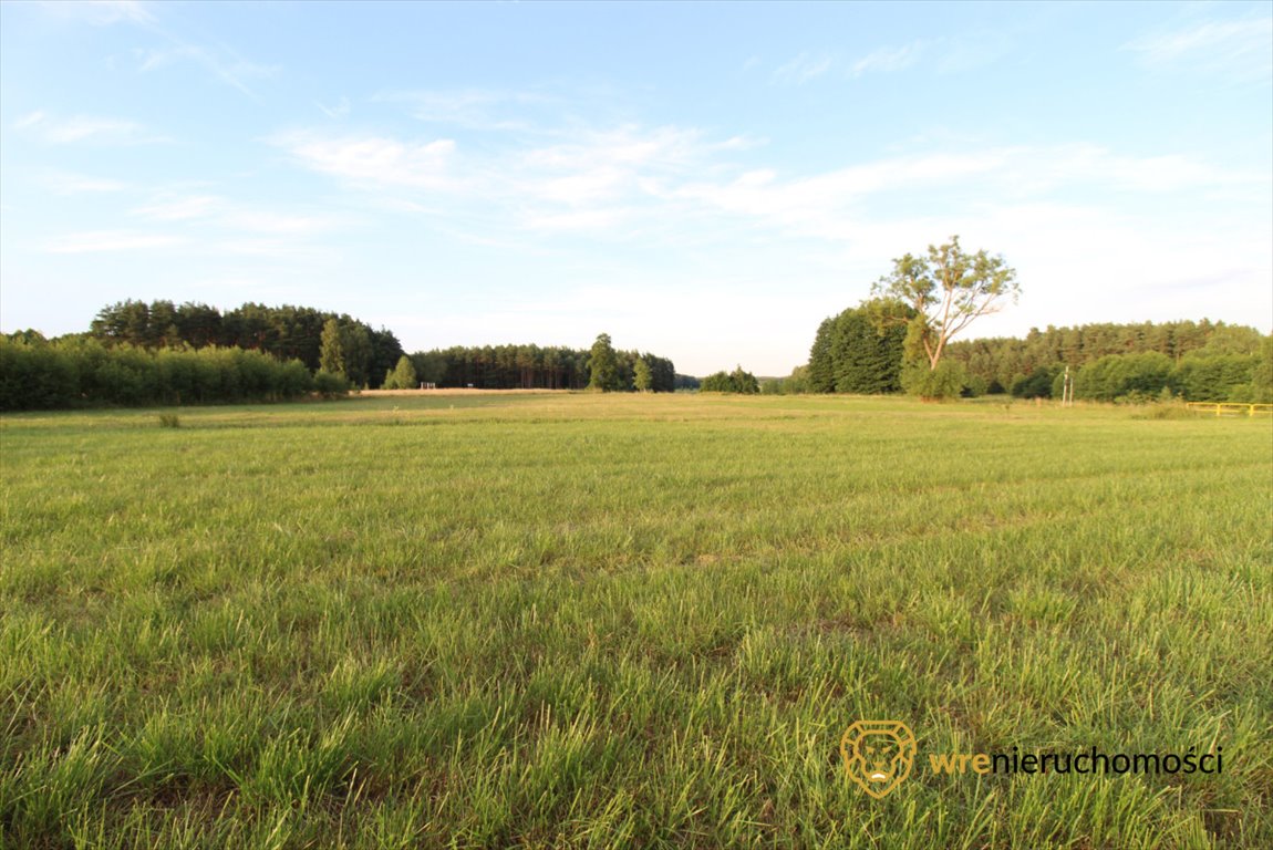 Działka przemysłowo-handlowa na sprzedaż Śliwice, Zdrojowa  47 740m2 Foto 5