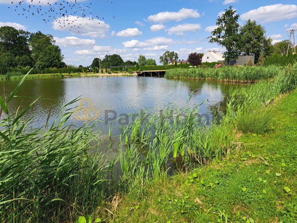 Działka przemysłowo-handlowa na sprzedaż Jasień  16 550m2 Foto 1