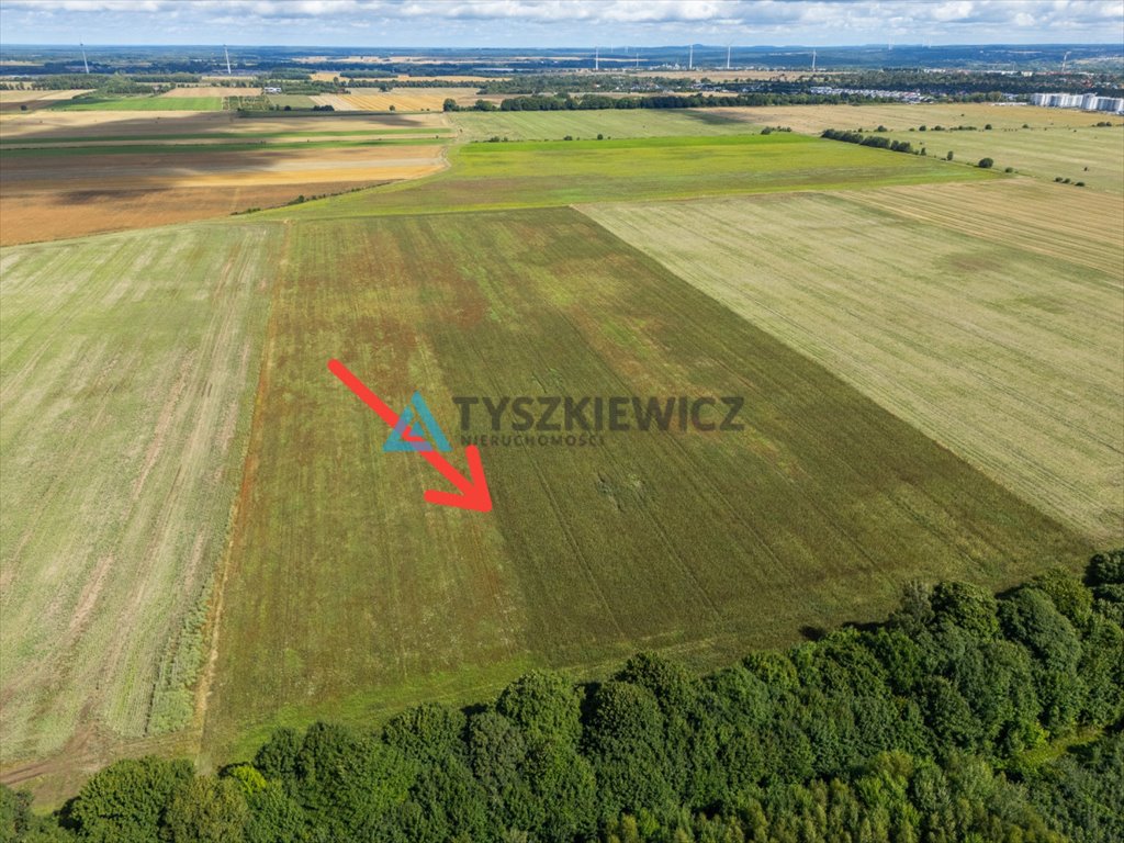 Zdjęcie 4
