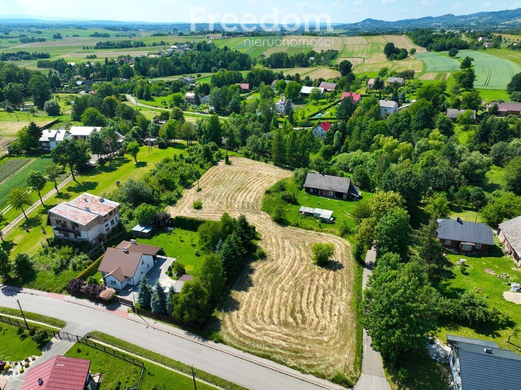 Działka budowlana na sprzedaż Kombornia  4 600m2 Foto 6