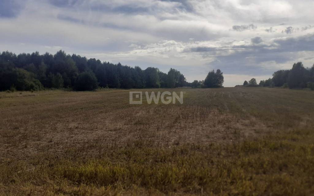 Działka siedliskowa na sprzedaż Jaworznik, Wschodnia  29 500m2 Foto 12