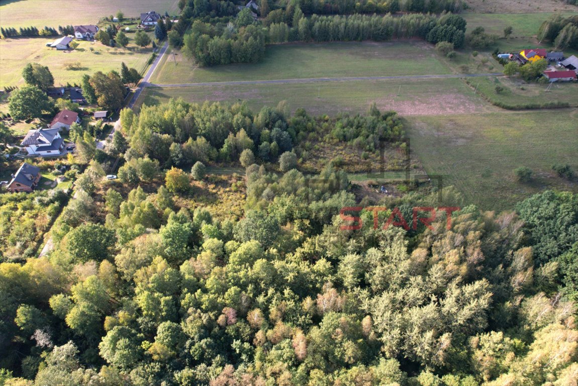 Działka budowlana na sprzedaż Bartoszówka, Borówkowa  1 481m2 Foto 3