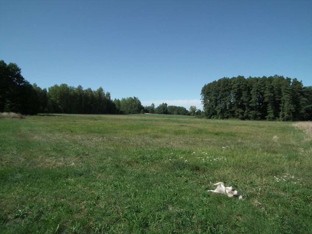 Działka rolna na sprzedaż Ślubowo, Ślubowo  2 432m2 Foto 9