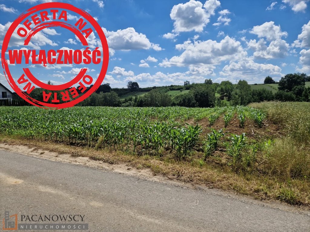 Działka 2500 m² z mediami, w linii zabudowy, Iwanowice Damice  2 500m2 Foto 1