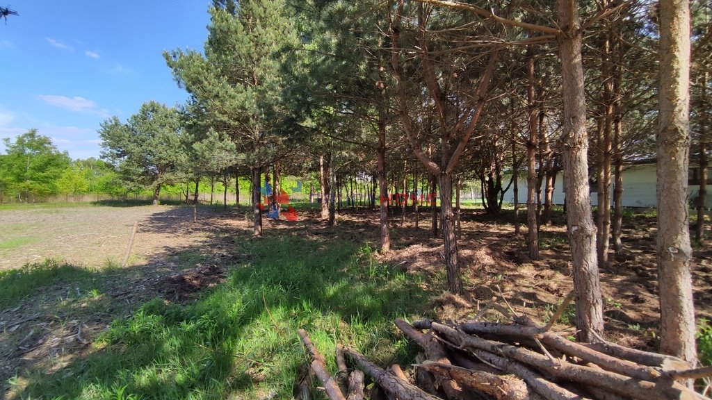Działka 1219 m² w Łośu z mediami i szybkim dojazdem polecam Łoś  1 219m2 Foto 1