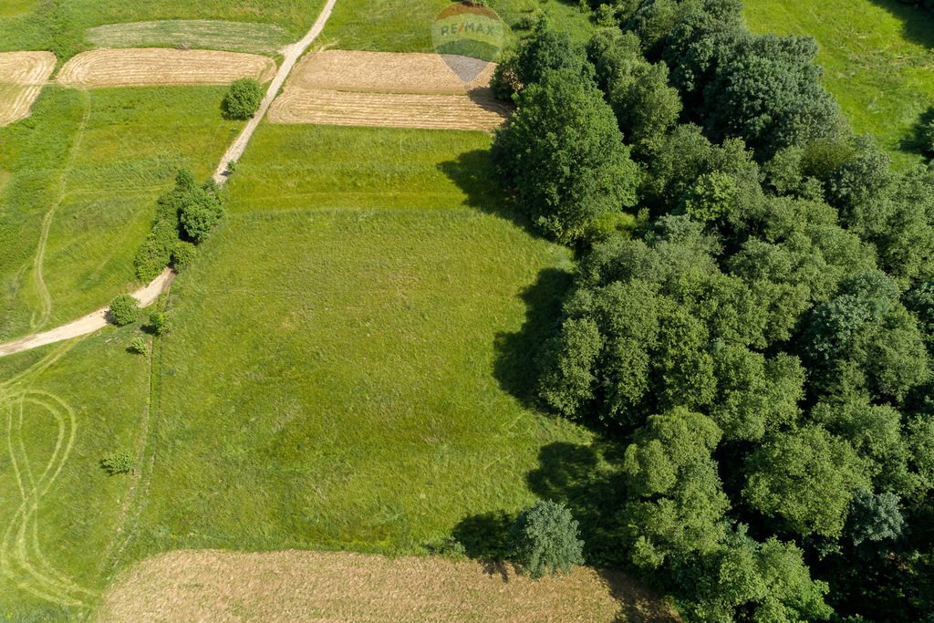 Działka rolna na sprzedaż Tenczyn  3 280m2 Foto 16