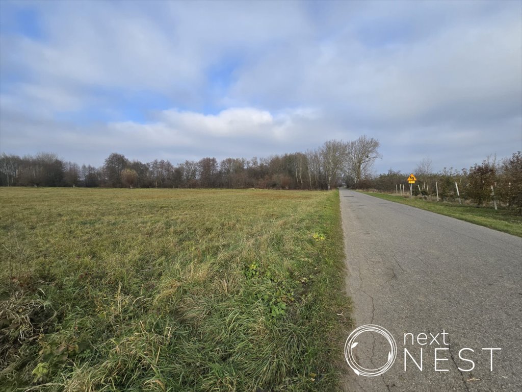 Działka siedliskowa na sprzedaż Wilczkowice Dolne  8 000m2 Foto 12