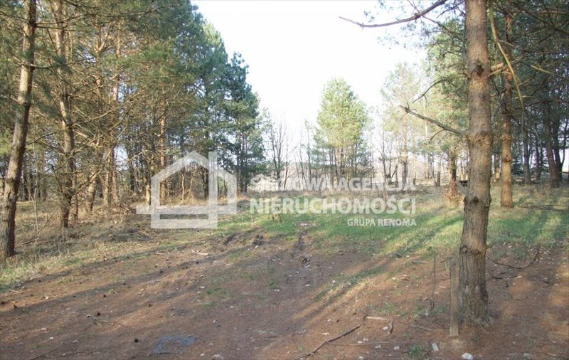 Działka budowlana na sprzedaż Gołubie 1 192m2 Foto 1 Działka budowlana na sprzedaż Gołubie 1 192m2 Foto 1