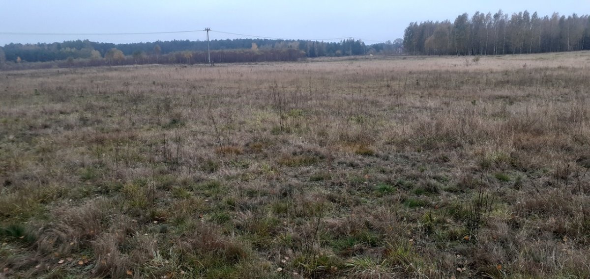 Działka budowlana na sprzedaż Pisz  1 527m2 Foto 5