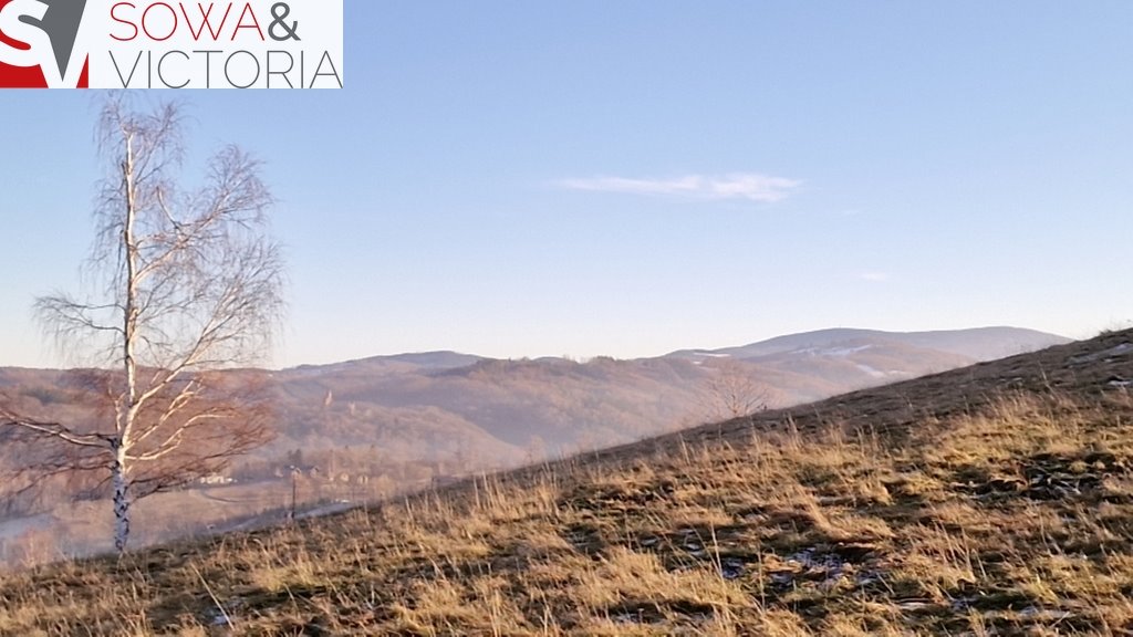 Działka inna na sprzedaż Zagórze Śląskie  32 000m2 Foto 14